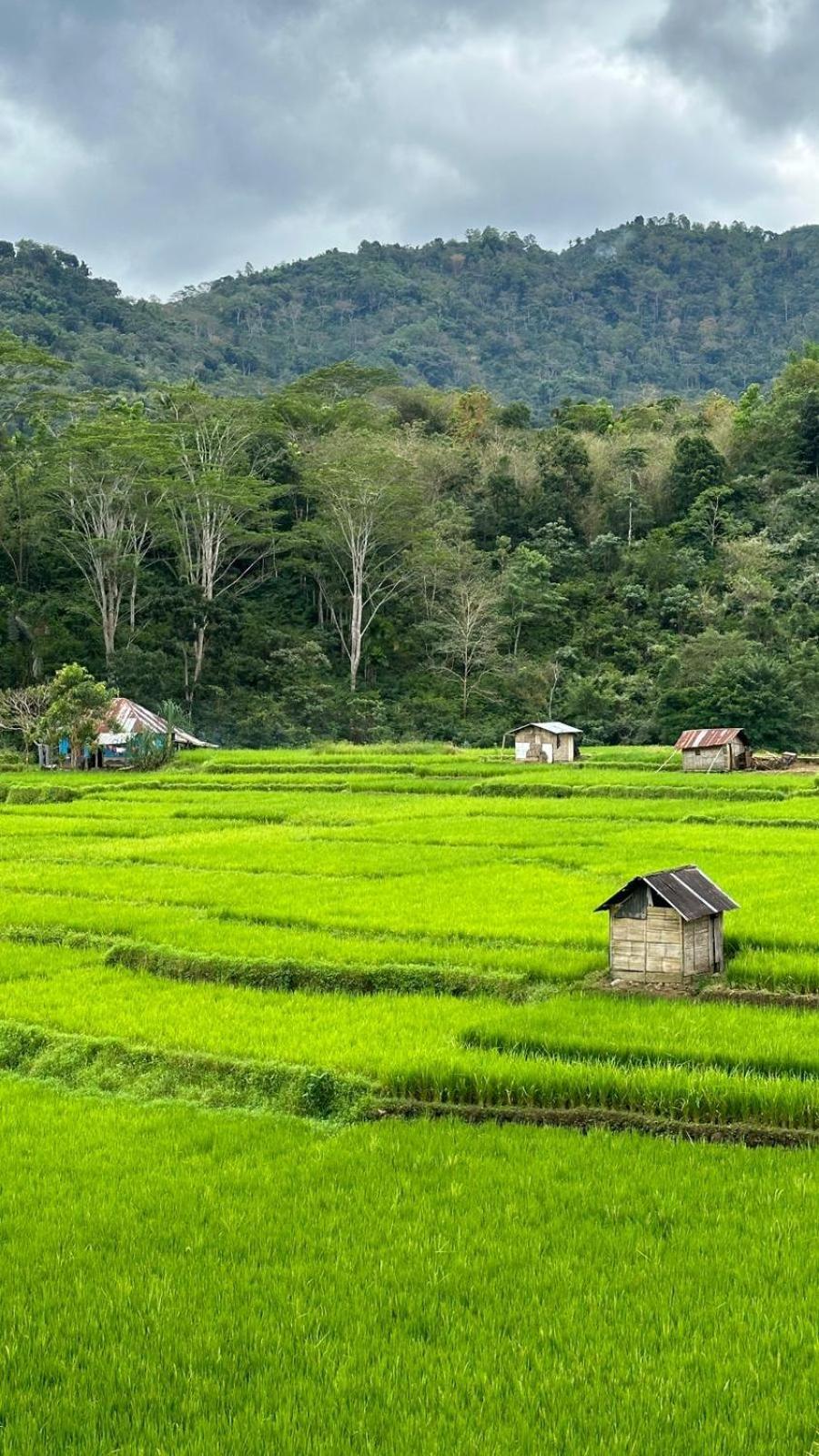 Petra Homestay Bangka Leda Ruteng Eksteriør bilde